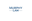 Murphy Law logo